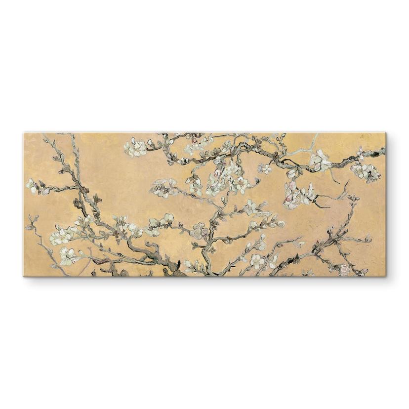 Pannello paraschizzi van Gogh - Mandorlo in fiore