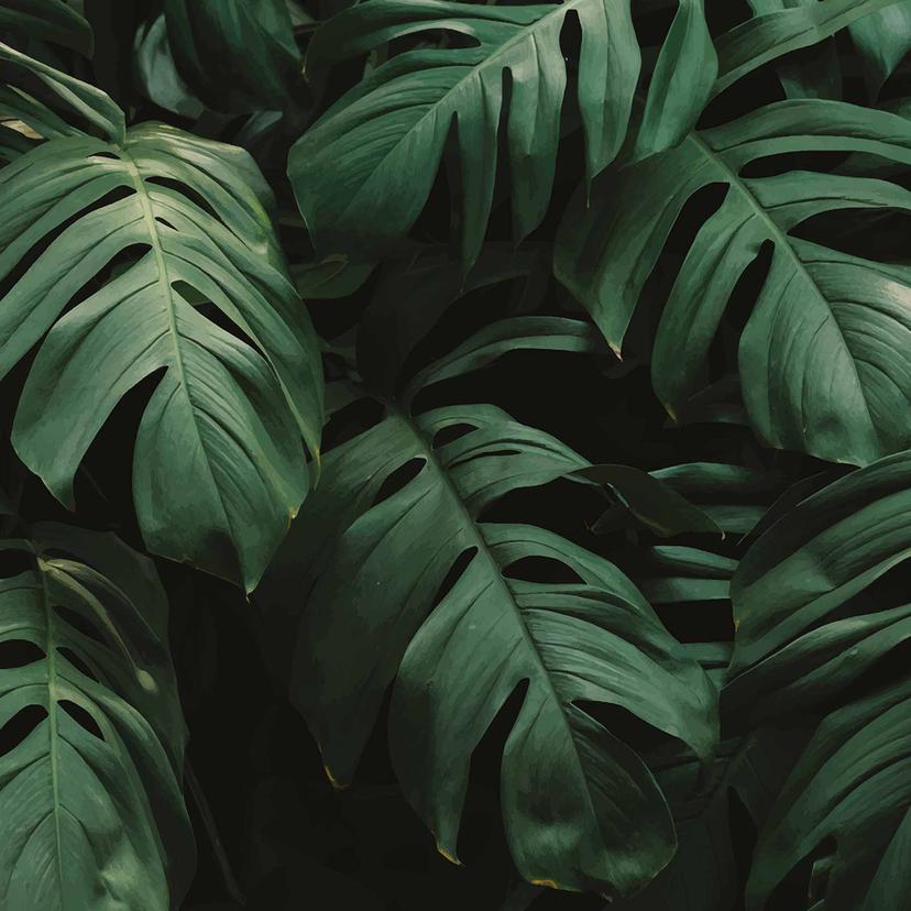 JungleLeaves Carta da parati della giungla in verde nero - Carta da parati in tessuto non tessuto De