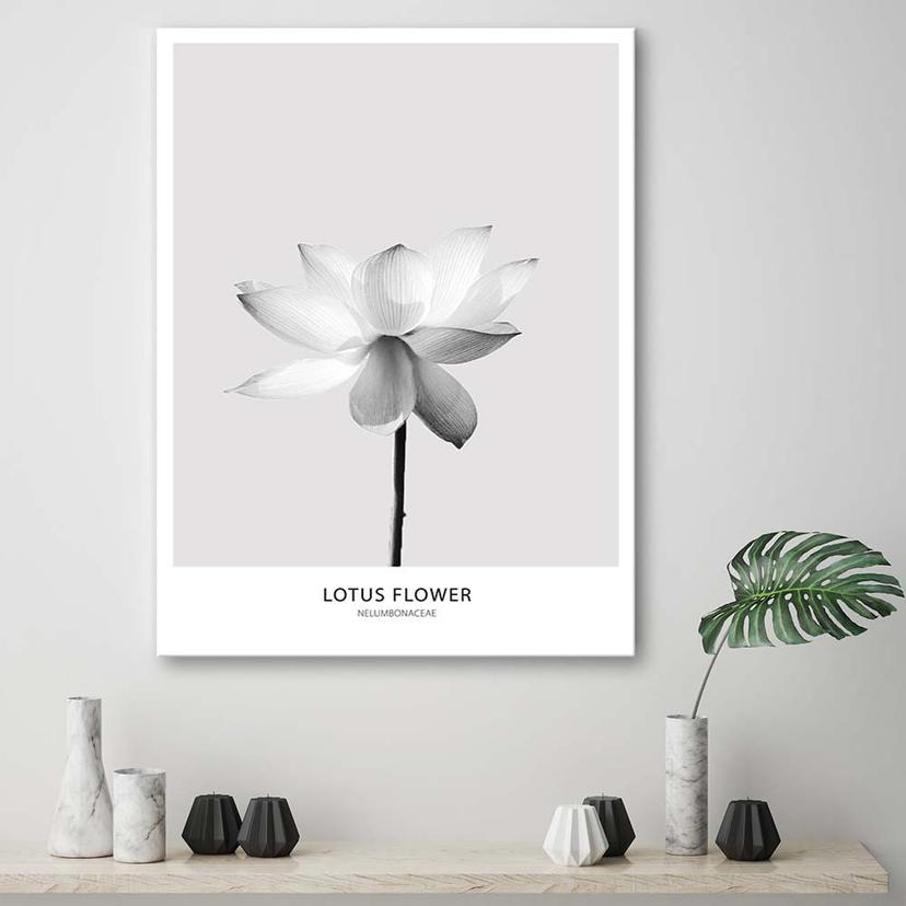 Stampe su tela, Fiore di loto bianco