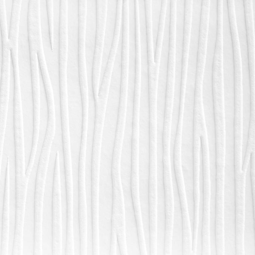 A.S. Création - carta da parati in TNT verniciabile Meistervlies Pro Protect 2 colore bianco