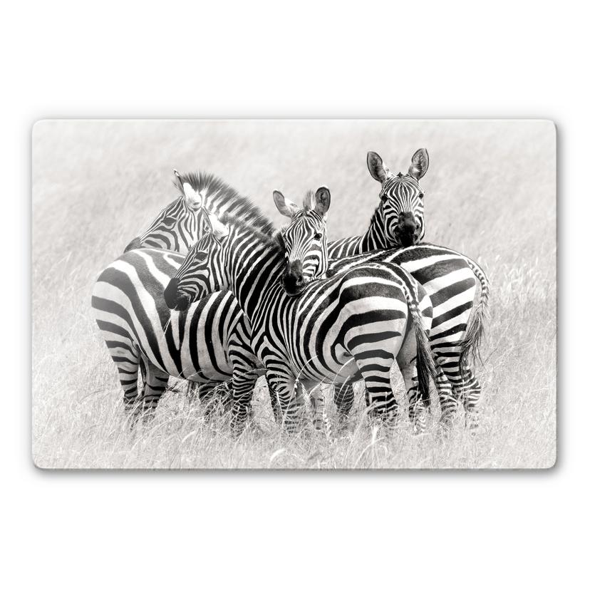 Tableau en verre - Trubitsyn - Zèbres dans la savane