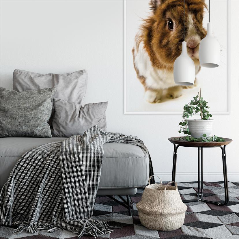 Poster autocollant - W - Lapin