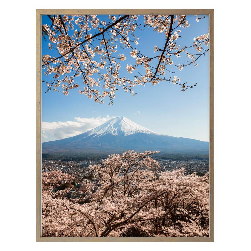 Poster Colombo - Mont Fuji au Japon