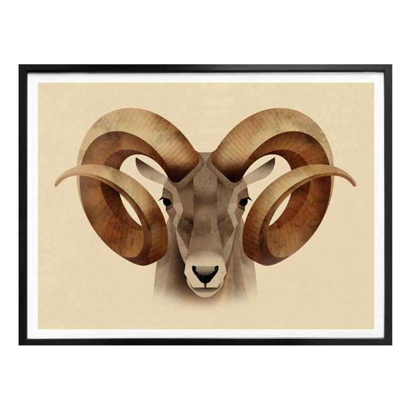 Póster Marrón - Urial