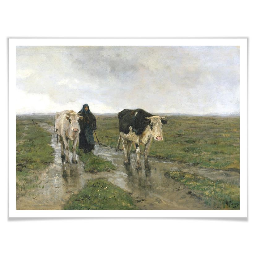 Poster Mauve - Changement de pâturage