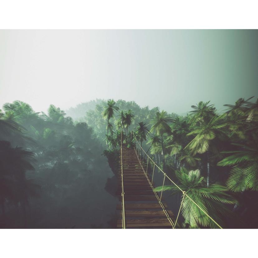 Fotomurale Ponte sospeso nella giungla