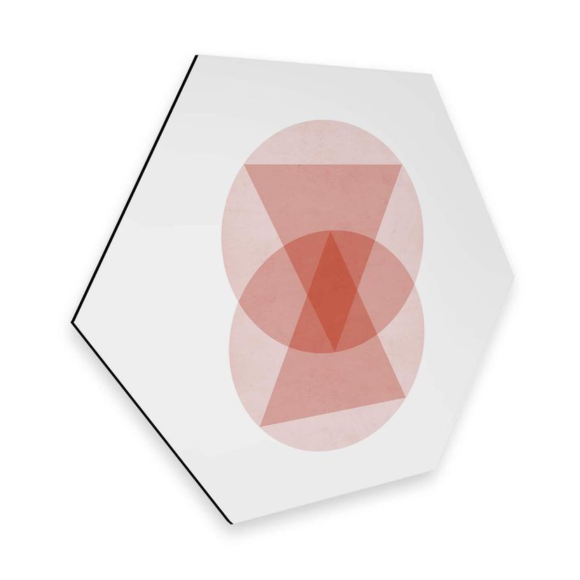 Hexagon Dibond Nouveauprints - Circles and Triangles