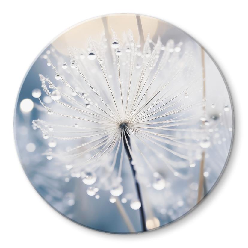 Glasbillede - Sparkling Dandelions - Treechild - Rund