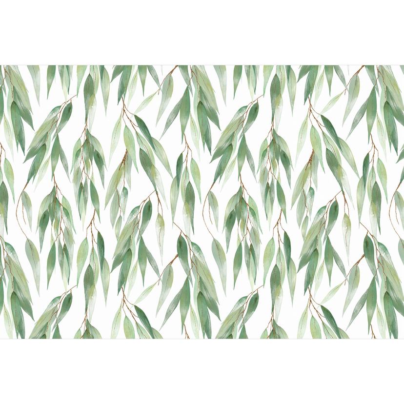 Papier peint photo Branches avec des feuilles vertes - UN Designs