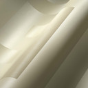 Versace Home luksusowa designerska tapeta z wzorem Próbki tapeta z włókniny tapeta z wzorem biała