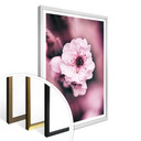 Plakat Blossom splendor - szczegół