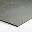 Wanddecoratie varen in nevelwoud in groen - Ms Tiff - Alu-Dibond