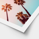Plakat przyrodniczy California Dreaming z widokiem na palmę - Hugonnard