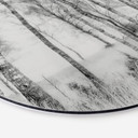 Tableau sur alu-Dibond Talen - Forêt de bouleaux noirs et blancs