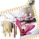 Orchidea z Plakatu