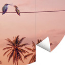 Loose - Zakochane kolibry - Fototapeta okrągła - tapeta flizelinowa/tapeta flizelinowa samoprzylepna