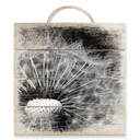 Obraz drewniany Dandelion - 40x41,5 cm