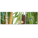 3-delt lærredsprint, Bamboo Zen Spa