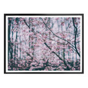 Plakat Pink Flower Dream 03