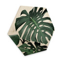 Hexagon Hout Sisi & Seb - Monstera