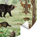 Fototapeta Kikki Belle - Las - okrągła - tapeta flizelinowa/tapeta flizelinowa samoprzylepna