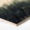 Hexagon Hout - Pure Nature