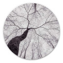 Wandcirkel Pavlasek - Hoog in de Bomen