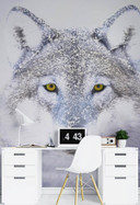 Fototapete, Porträt Wolfes im Winter