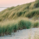 Plaża i morze - Wydmy na holenderskim wybrzeżu - Fototapeta