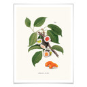 Luźny plakat - fabryka sushi