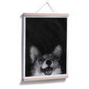 Plakat Graves - Sausage Fox Corgi