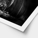 Poster Golob - Hippopotame qui Souffle | Photographie Animalière Noir et Blanc - 30x24 cm