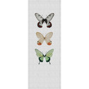 Livingwalls Fototapet Walls by Patel 2 buzz panels 2