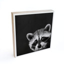 Billede af træ til at sætte op - Graves - Racoon - 15x15 cm