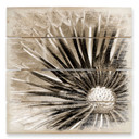 Obraz drewniany Dandelion Poetry - 40x41,5 cm