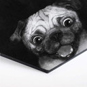 Hexagon - Alu-Dibond Graves - Snuggle Pug