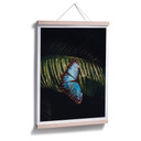 Plakat niebieski motyl