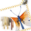 Plakat Kvilis - Butterfly 02