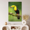 Tableau sur verre van Duijn - Tukan du pêcheur au Costa Rica