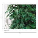 Livingwalls storbyhistorier THE WALL monstera tapet