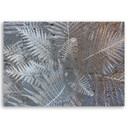 Canvasbillede, Plantning af bregneblade