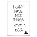 Poster - I can't have nice Things