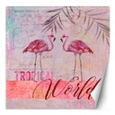 Fototapete, Shabby Chic Rosa Flamingo-Tiere - Andrea Haase
