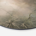 Mystiek regenwoud in de mist - Ms Tiff - Alu-Dibond Rond