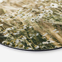 Fototapet Sommereng med kamille - Annie - rund – print på aluminium (Alu-Dibond)