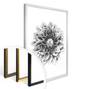 Plakat Kools - Dahlia
