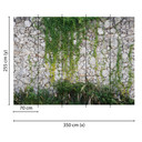 non-woven tapet Stonewall moderne natur fototapet Designwalls i grøn og grå 