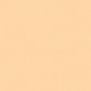 Architects Paper Floral Impression - Papier peint intissé uni, orange