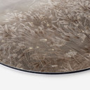 Wanddecoratie Pampasgras en grassen in beige - Ms Tiff - Alu-Dibond Rond