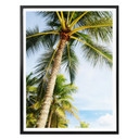 Plakat - Palms 07